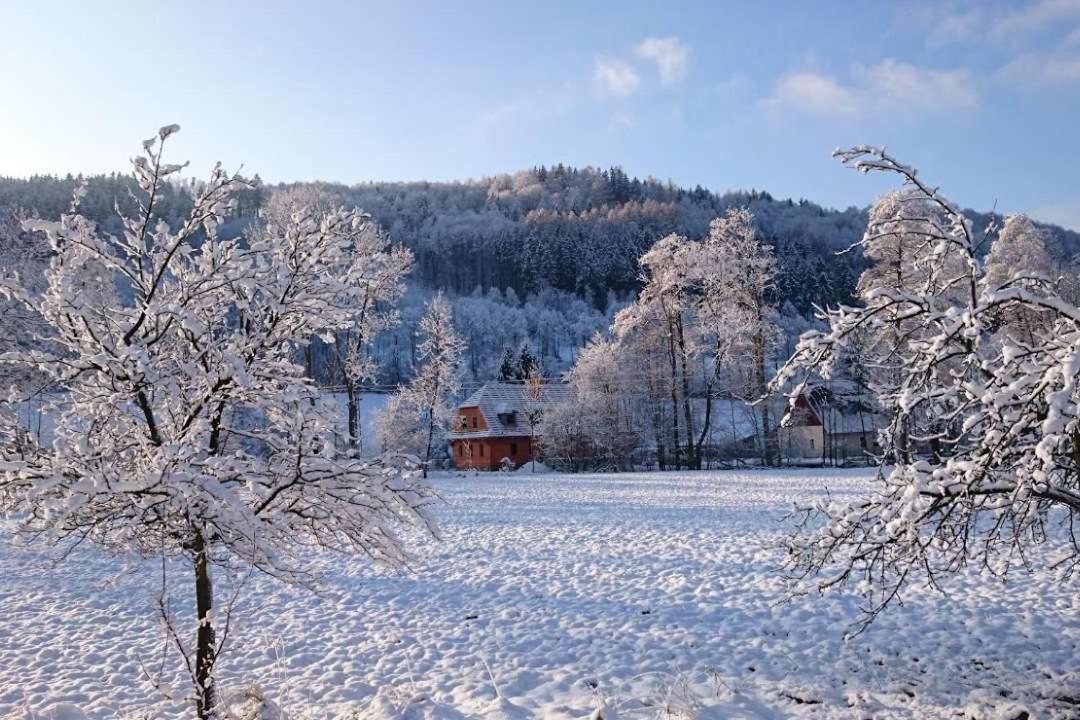 Roubenka Pod Capim Vrchem Villa Velke Losiny Bagian luar foto